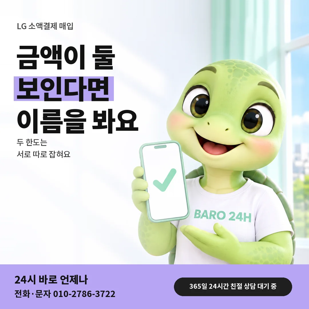 휴대폰을 든 BARO 24H 티셔츠를 입은 3D 거북이 캐릭터 옆에 「LG 두 한도 따로 알기」 제목을 얹은 안내 카드
